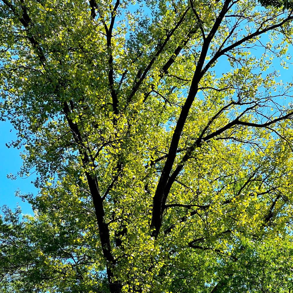 MAKE AN OFFER 😃😁😄😃 we love reasonable offers!!!